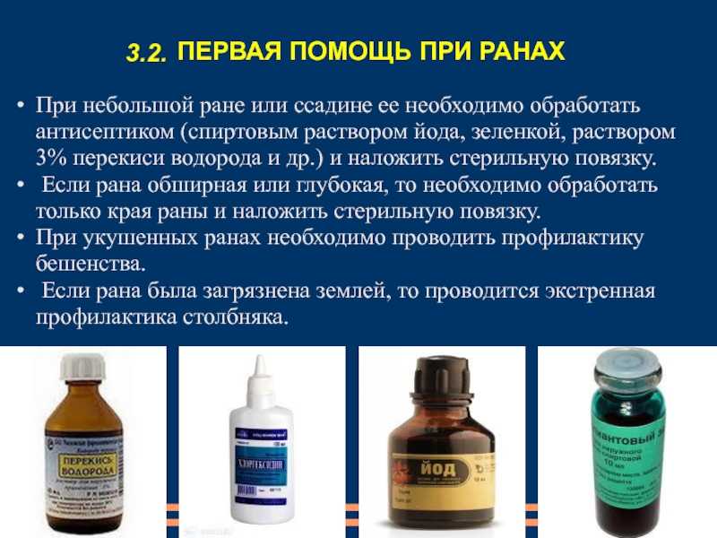 Рана у собаки: чем обработать, лечение, что делать