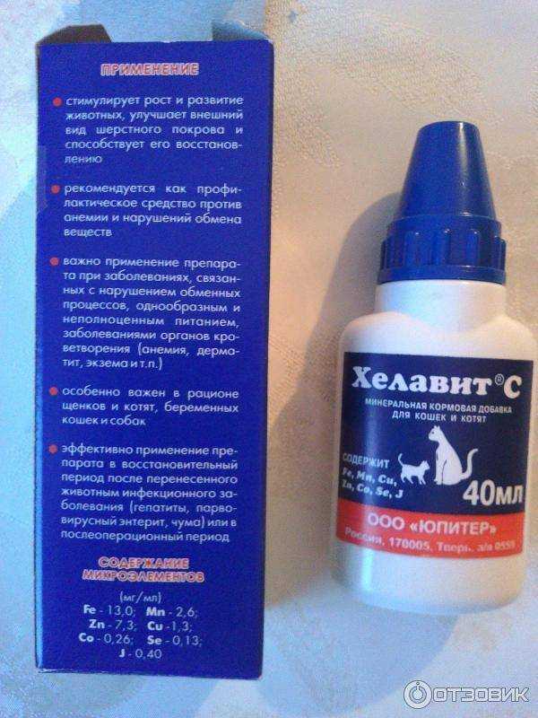 Витамины для кошек