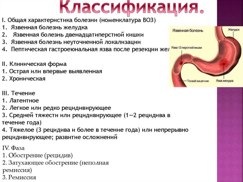Дуоденит у собак: симптомы и лечение