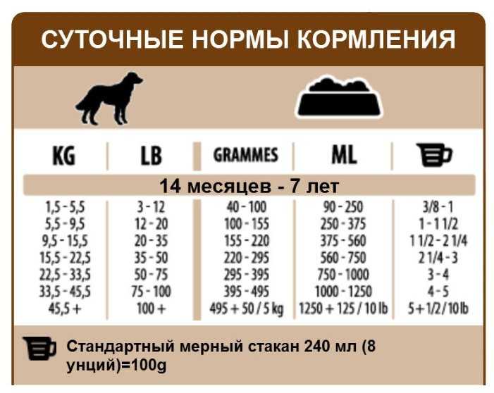 Перевод щенка на сухой корм | звери дома