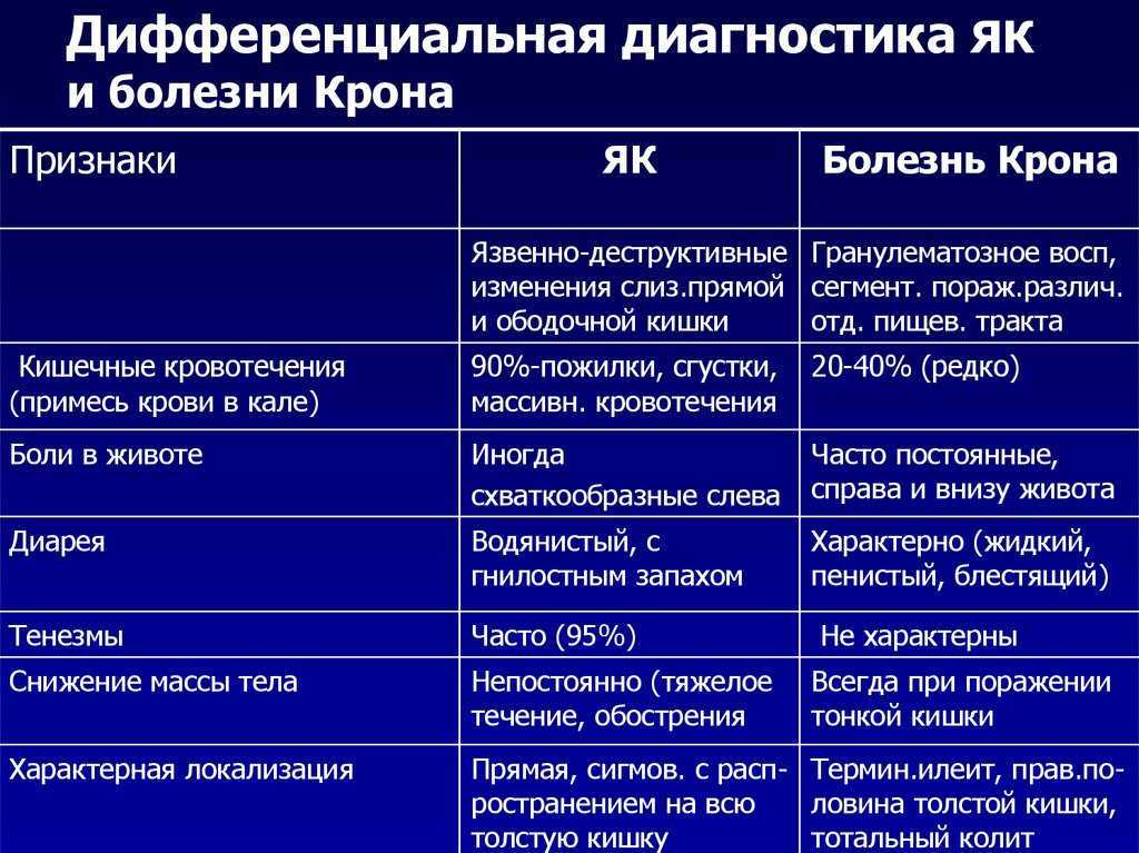 Колит у собак: симптомы и лечение эозинофильного, язвенного, лимфоцитарного, плазмоцитарного и других, как лечить острый и хронический, причины