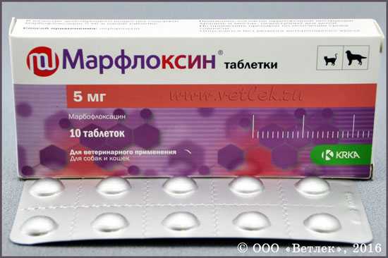 Марфлоксин: уколы и таблетки для лечения инфекционных заболеваний кошек, собак и продуктивных животных. применения таблеток марфлоксина для собак и кошек: рассматриваем по полочкамвсе о породах кошек с описанием, фотографиями и названиями.