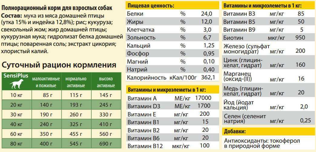 Сколько белка в корме нужно собаке?