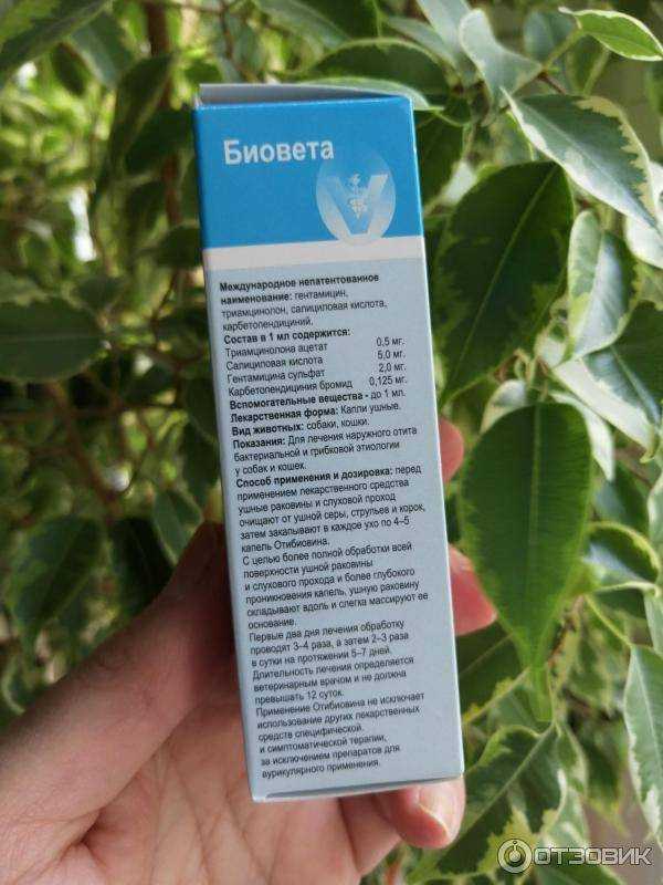 Капли отибиовин для собак: инструкция по применению - sobakada