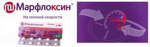 Марфлоксин для собак: инструкция по применению инъекций и таблеток