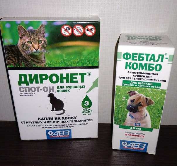 Фебтал – инструкция по применению для кошек, собак, свиней, крупного и мелкого крс, птиц