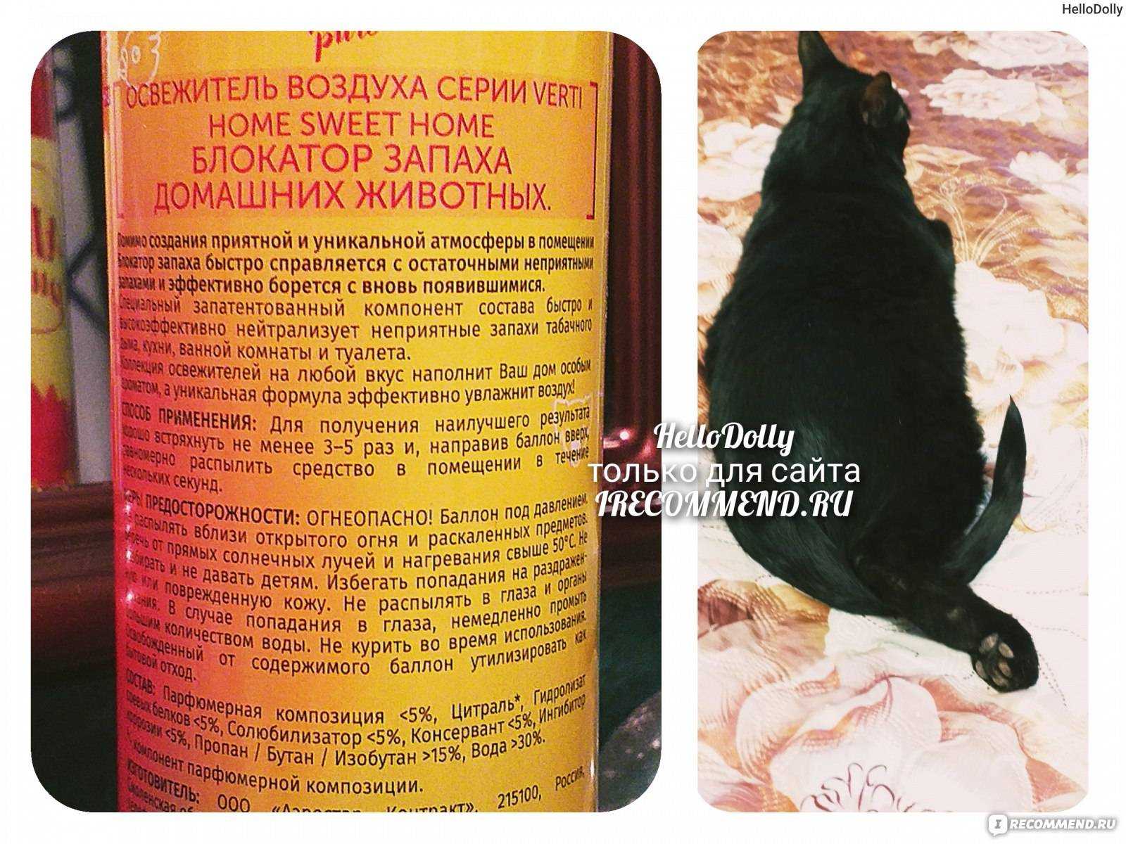 Почему кошки не пахнут?