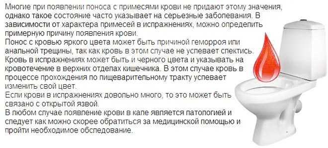 Кот перестал писать лечение