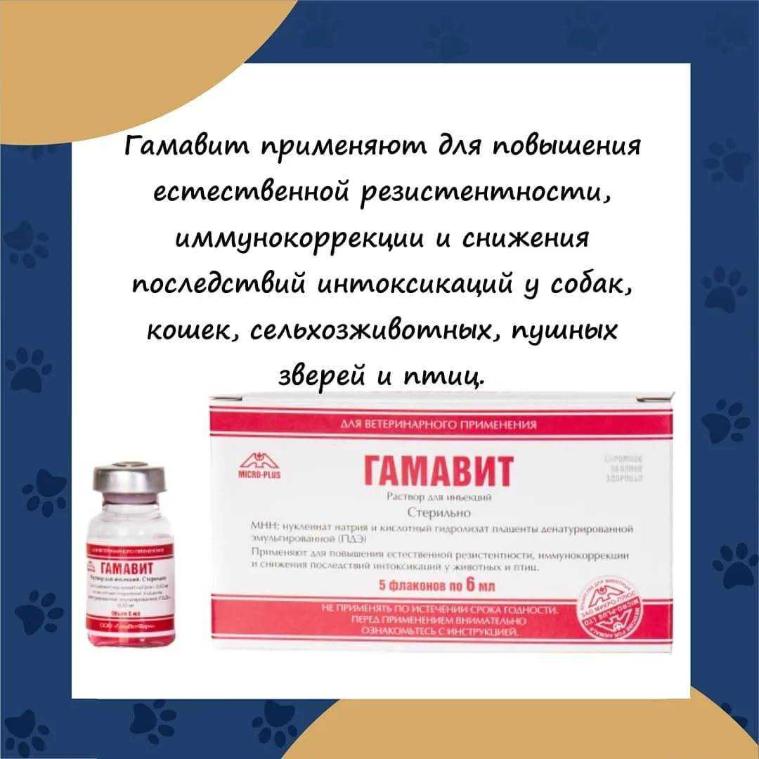 Лекарство гамавит для кошек