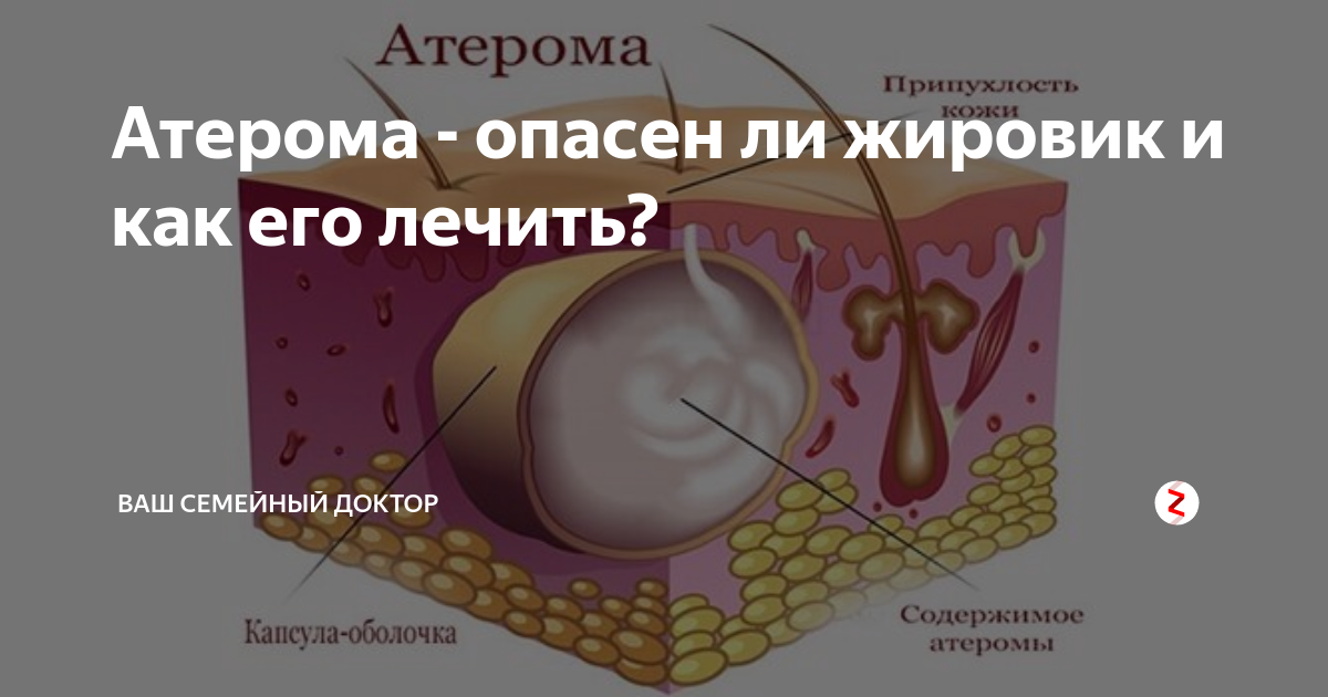Почему бывает воспаление сальных желез у собакветлечебница рос-вет