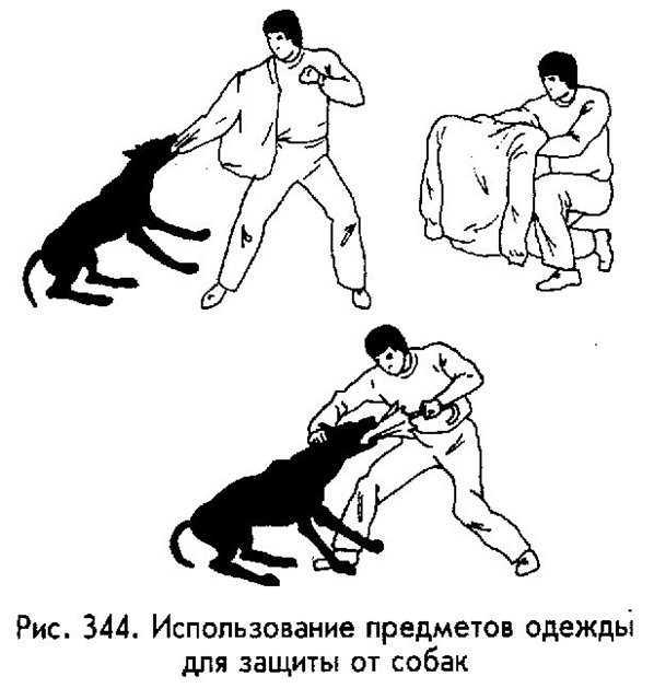 Как наказывать щенка за непослушание правильно: виды наказания и запрещенные методы - truehunter.ru