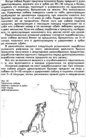 Как дрессировать собак в домашних условиях – пошаговые инструкции и подборка полезных видео, 2 часть