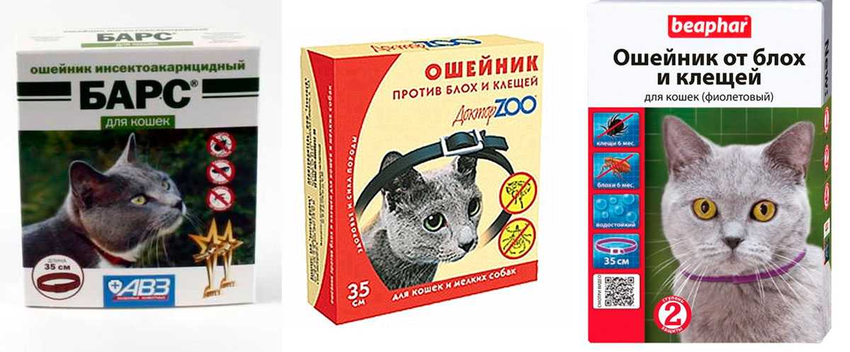 Ошейники для защиты собак и кошек от блох