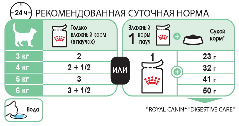 Чем кормить сфинкса взрослого и котенка?