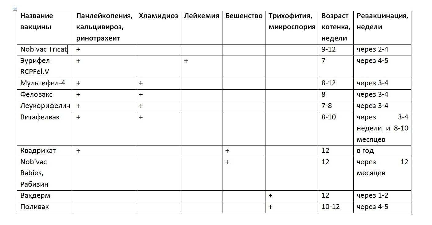 Какие прививки делают котятам и когда