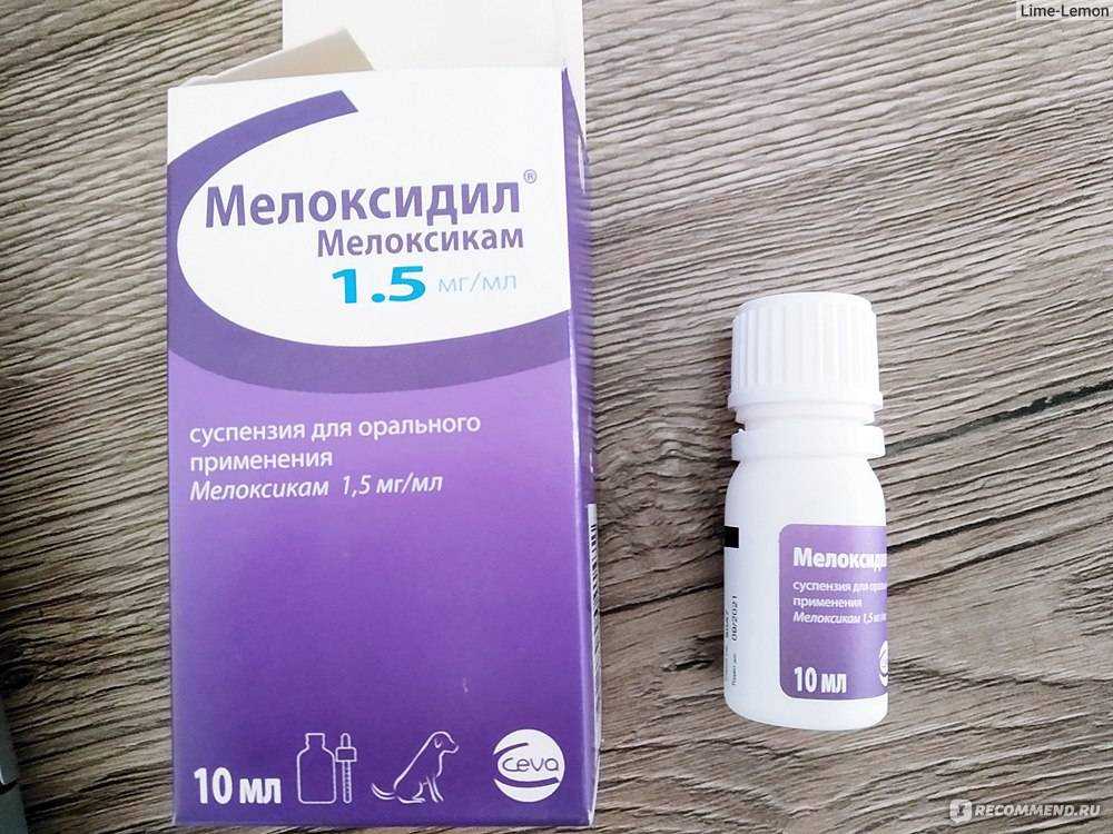 Капли деликс для кошек: показания и инструкция по применению, отзывы