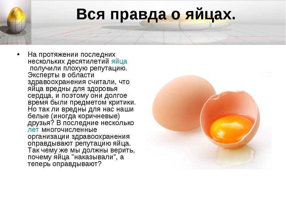 Можно ли кошкам яйца и какие лучше давать: вареные, сырые, куриные или перепелиные? как часто кормить ими котенка и помогает ли от чумки желток или белок с водкой?