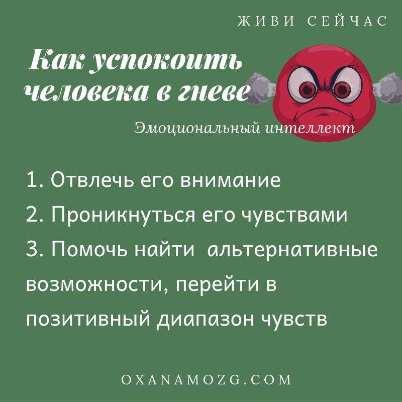 Как остановить агрессивную кошку - wikihow