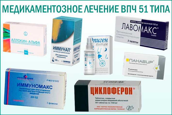 Вирусный папилломатоз у собак: причины, симптомы, лечение