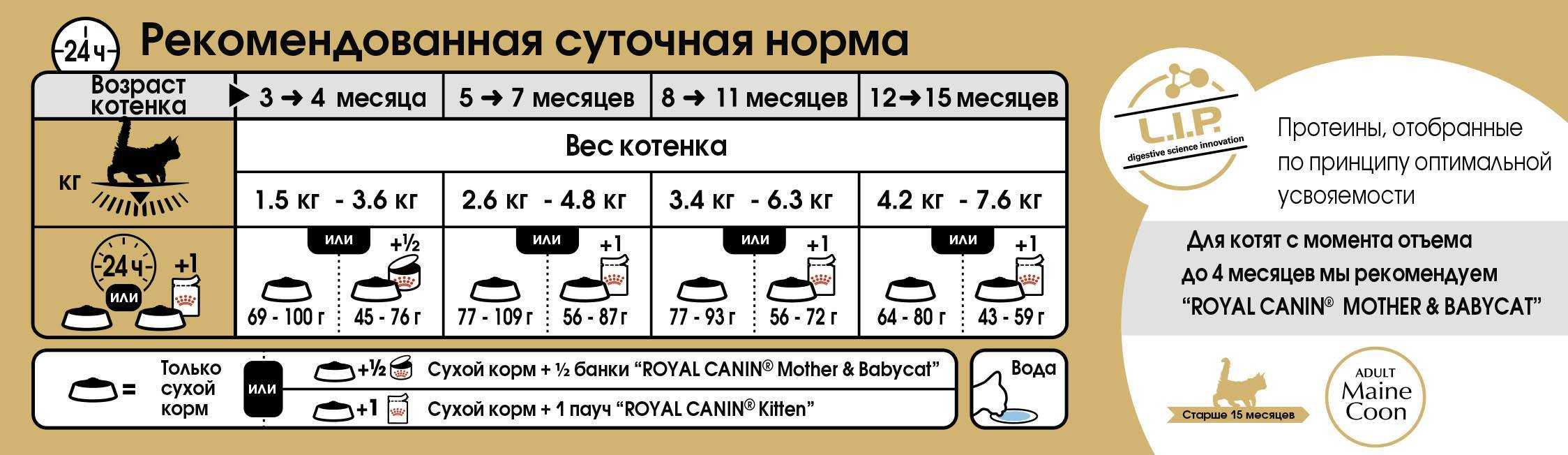 Чем кормить котенка сфинкса в 2 месяца — корм для лысых кошек