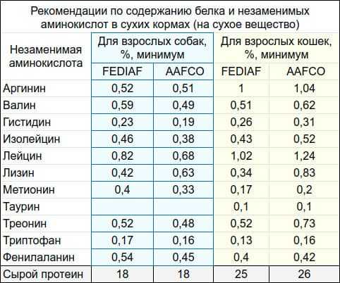 Сырое натуральное питание собак: соотношение белка в рационе
