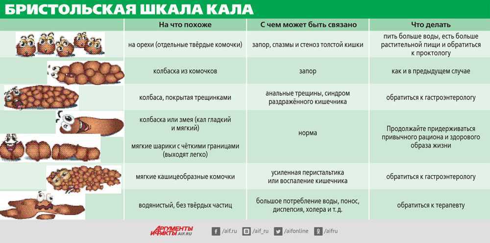 9 причин почему у кошки понос с кровью и слизью - симптомы, лечение, профилактика