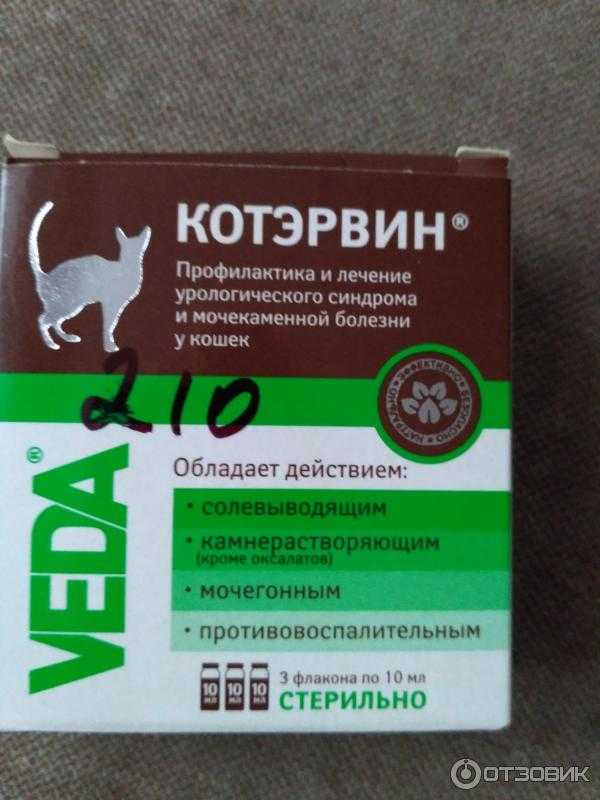 Котэрвин – инструкция, рекомендации для устранения урологических проблем - все о породах кошек с описанием, фотографиями и названиями.все о породах кошек с описанием, фотографиями и названиями.
