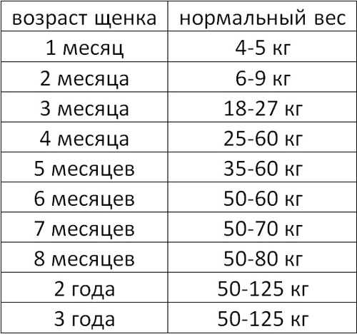 До какого возраста растут собаки, физиологическое развитие