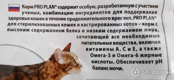 Корм для кастрированных котов