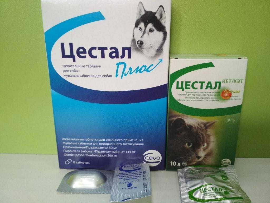 Цестал кэт для кошек, 10 таблеток