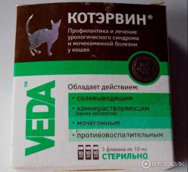 Как использовать корнам для лечения кошки или котенка?