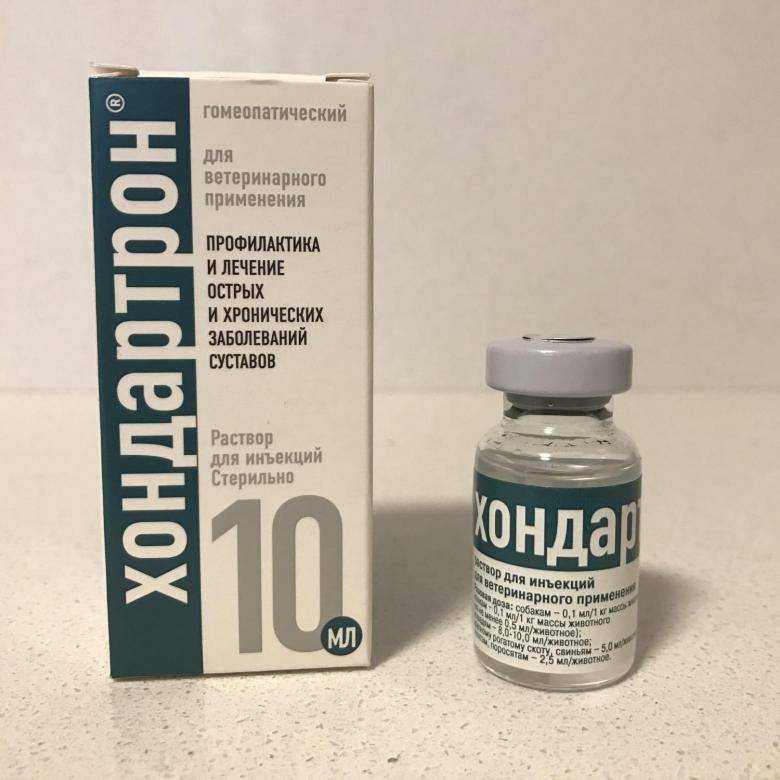 Хондартрон для собак: инструкция по применению и отзывы
