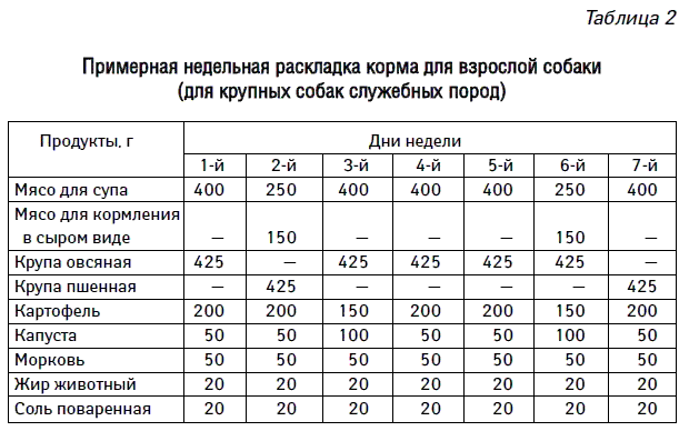 Чем кормить собаку после родов? правила здорового питания