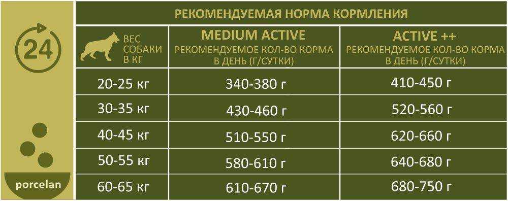 Переводим собаку с натурального корма на сухой правильно