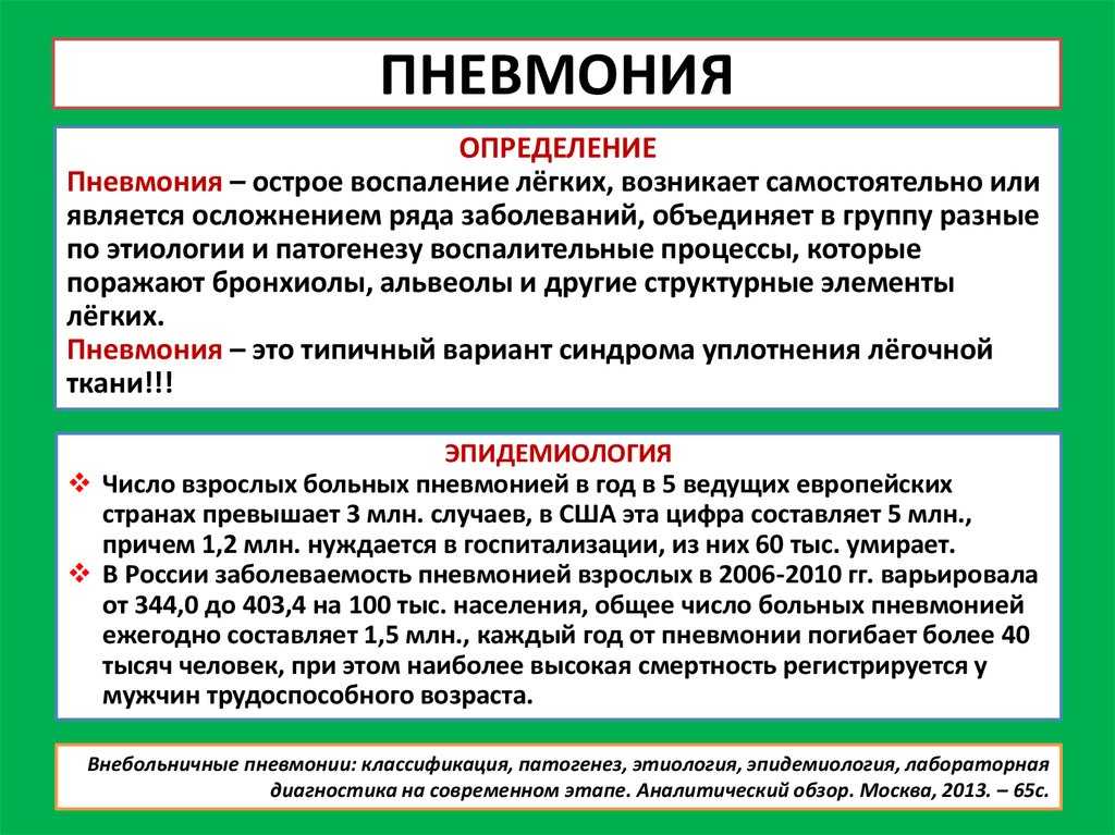 Пневмония (воспаление легких) у собак: симптомы и лечение