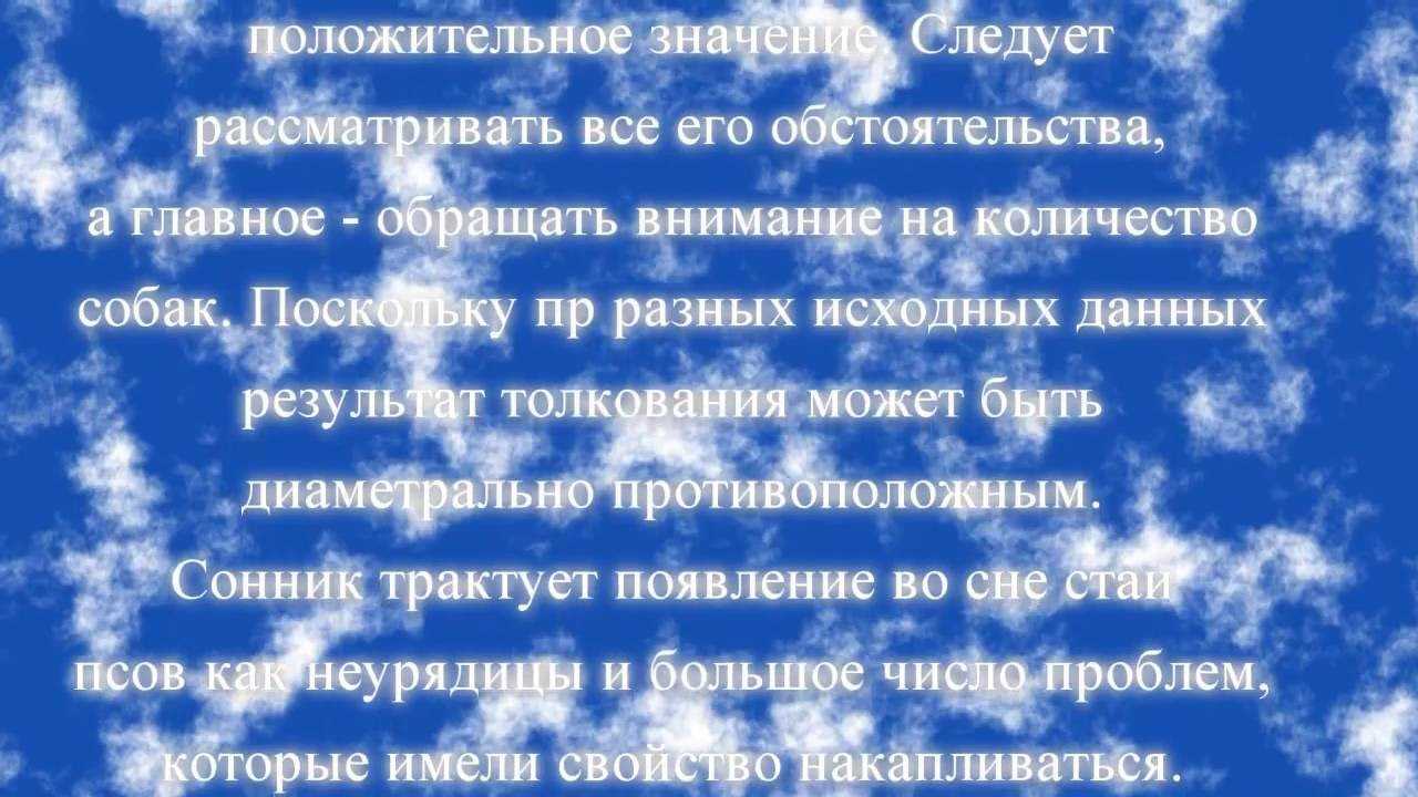 К чему снятся щенки или щенок - 11 детальных толкований сна - сонник щенок
