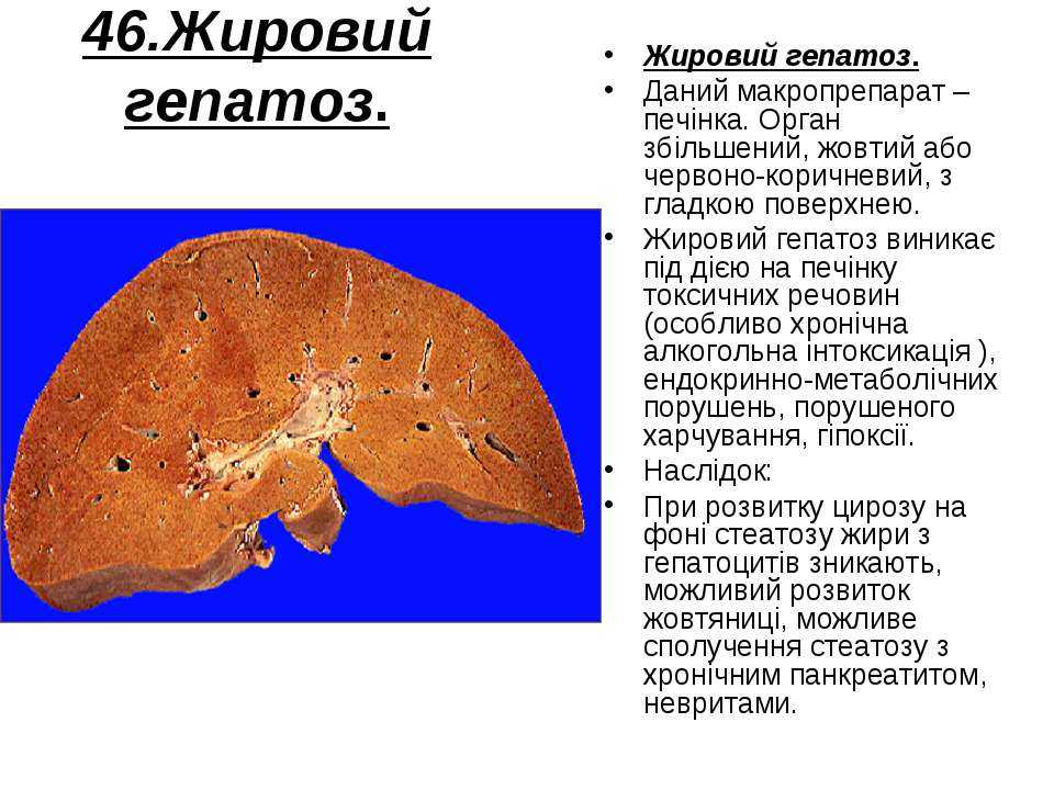 Болезни печени у собак