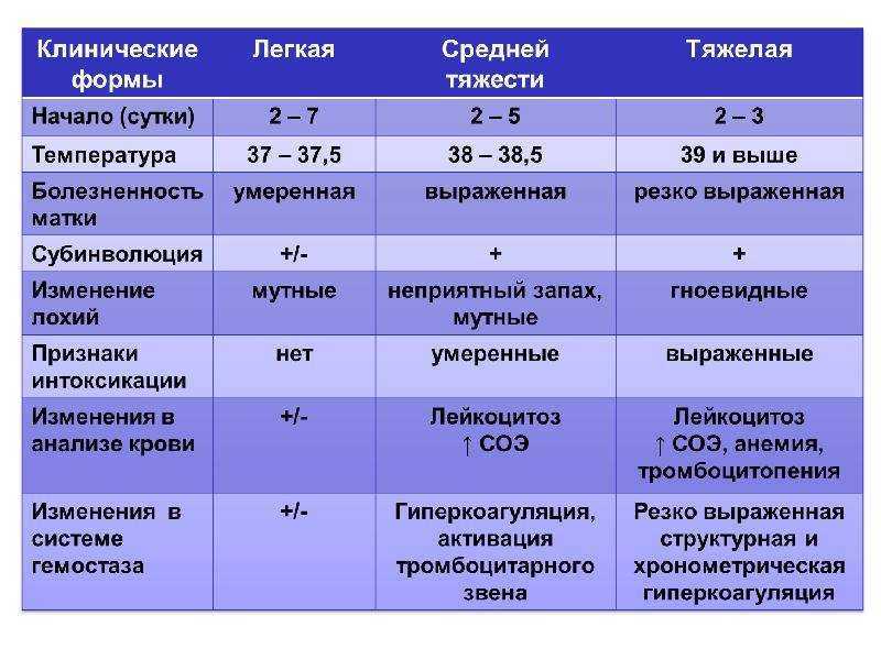 Насекомое кузнечик: анатомия, образ жизни, где обитают, как выглядит, размеры, чем питаются, сколько живут (фото)