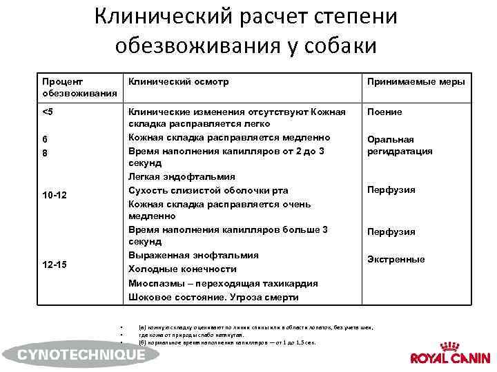 Обезвоживание у собаки симптомы