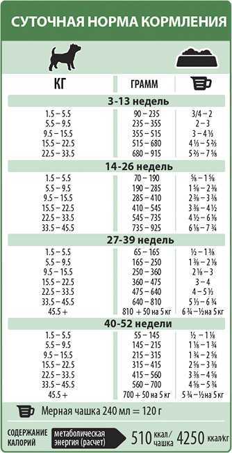 Норма сухого корма для собак в день: таблица кормления, дозировка