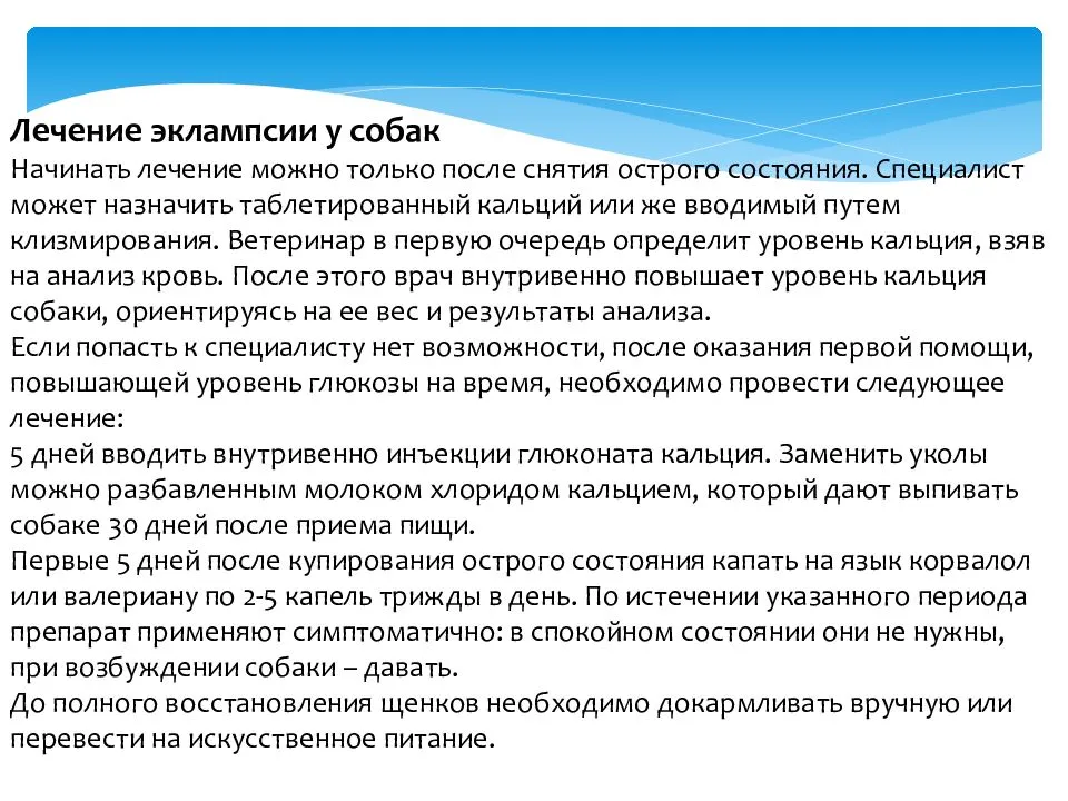 Признаки родов у собаки: первые симптомы начинающихся родов у крупных и мелких пород - блог о животных - zoo-pet.ru