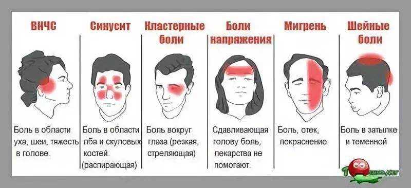 Почему у кошки дергается голова?