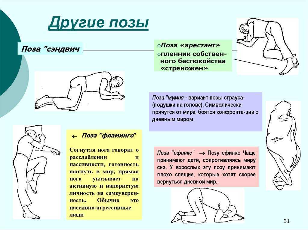 Почему собаки переворачиваются на спину и подставляют человеку живот?