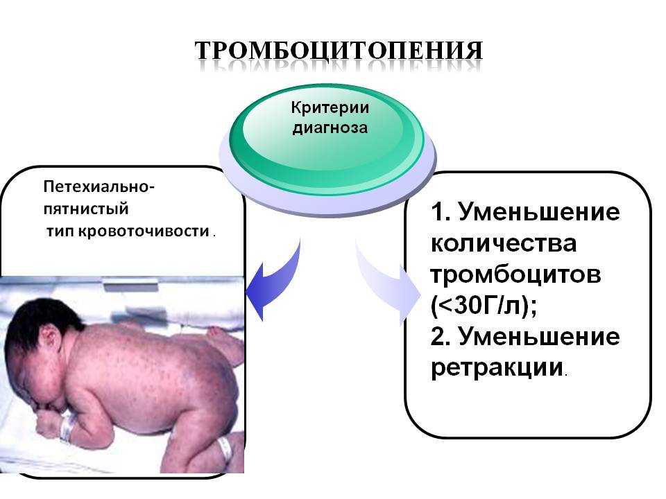Лечение у собаки при тромбоцитопении