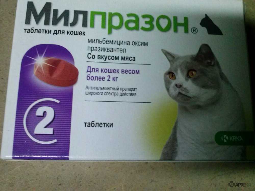 Как и в какой дозировке использовать петкам для кошек, и помогает ли он?
