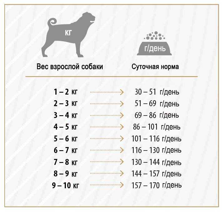 Уход за щенками алабая и правильное комление с подробным рационом