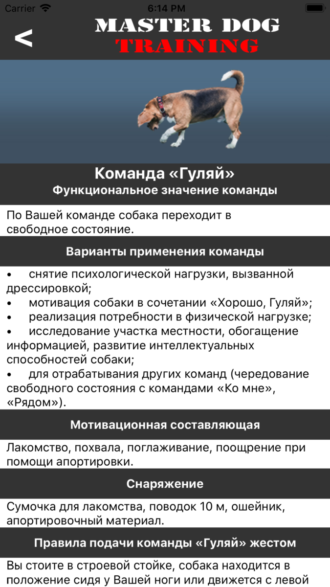 Как научить собаку команде «апорт!»