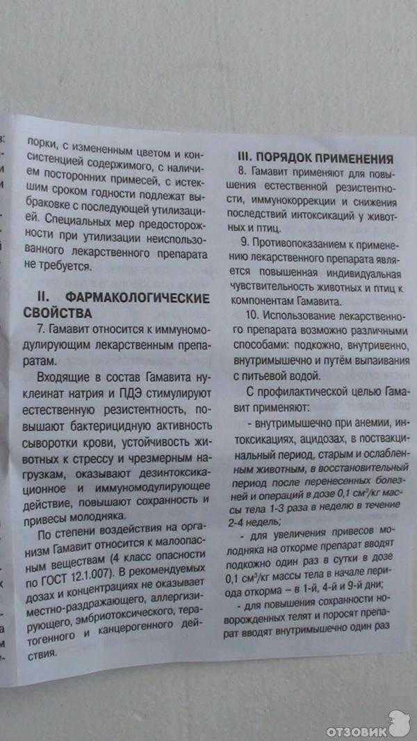 Гамавит для кошек: инструкция по применению, дозировка, способы применения и отзывы