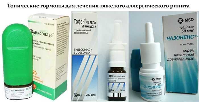 Можно ли и как промыть нос собаке в домашних условиях