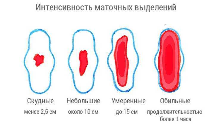 Выделения после родов у собаки: какие считаются нормой, а какие патологией - кровянистые, черные, зеленые, темные, сколько длятся, что делать если еще есть через месяц после родов - блог о животных - zoo-pet.ru
